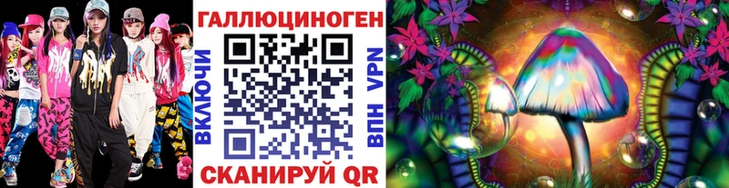 закладка  Заинск  Галлюциногенные грибы MAGIC MUSHROOMS 