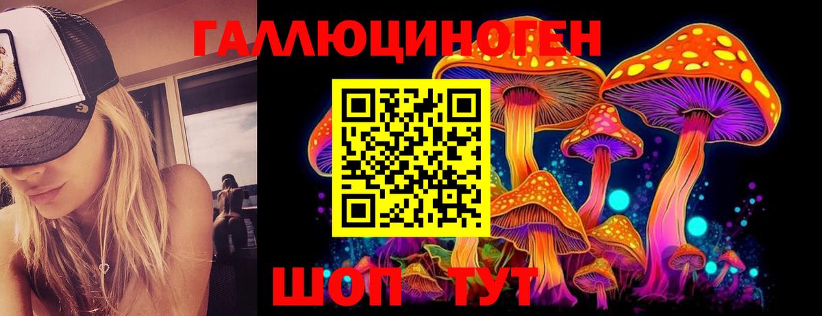Галлюциногенные грибы Psilocybine cubensis Заинск