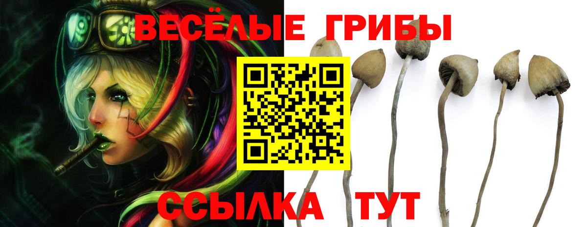 Заинск  Псилоцибиновые грибы мухоморы  Вход с VPN 