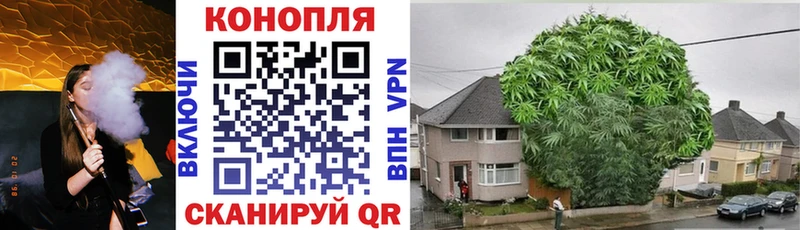 Каннабис AK-47  МЕГА tor  Заинск 